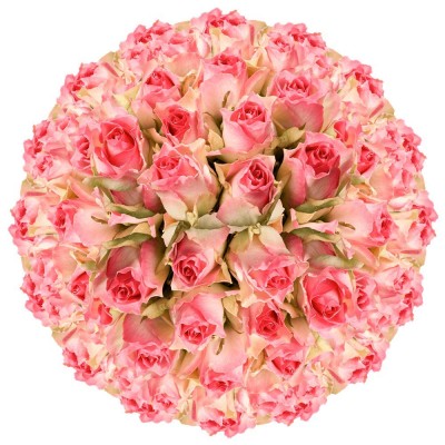 GlobalRose 200 Fresh Cut Light Creamy Pink Roses - Michelle Roses - Fresh Flowers Wholesale Express Delivery