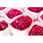 Inspiraterra - 100 Long Stem Roses - Fresh Cut. Delivered at Your Door Within 4 Business Days. (Bulk) (White)
