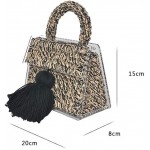 HABADOG Acrylic Woolen Wool Knitting Handbag Lady Hand-Woven Portable Purses Tassel Winter Tote Messenger Bag (Color : StyleC)