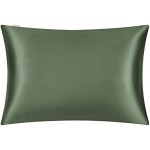 DISANGNI 100% Silk Pillow Cases 2 Packfor Hair and Skin,with Hidden Zipper 22 Momme Both Sides Pure Natural Mulberry Silk Real Silk Pillow Case (2 pc Standard Size 20"x26" Green)