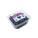 Blueberries, 18 oz