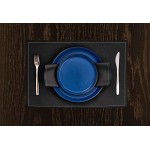 Stone Lain Albie Stoneware 16-Piece Modern Dinnerware Set, Kitchen Plates and Bowls Sets, Dish Set for 4, Blue and Black