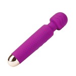 25 frequency Knight Single Dragon Scale Vibration Massage Stick USB Charging Silicone Vibrator Women's Fun Masturbation Supplies