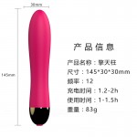 Bullet Vibration Massage Stick Female Sexual Masturbation Device Female Vibration Adult Sexual Toy Female Masturbation Device