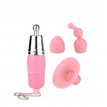 Auspicious Three Treasures Small Gourd Three Piece Set for Women's Emotional Vibration Massage Stick Emotional Products for Women Adult Sexual Products