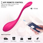 All Inclusive Adhesive New Product Little Swan APP Wearing Jumping Egg Remote Kegel Ball Underwear Women's Masturbation Vibration Device