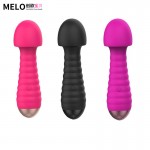 Charging vibration massage stick, small AV massage equipment, female sexual pleasure masturbator, clitoral stimulator, factory stock