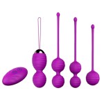 Kegel Trainer Vaginal Dumbbell Ball Private Firming Tool Women's Sexual Products Nomi Tang