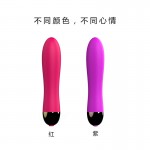 Bullet Vibration Massage Stick Female Sexual Masturbation Device Female Vibration Adult Sexual Toy Female Masturbation Device