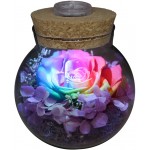 Preserved Real Roses with Colorful Mood Light Wishing Bottle,Eternal Rose，Never Withered Flowers,for Bedroom Party Table Decor, Christmas Decorations,a Gifts for Women (Rainbow)