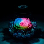 Preserved Real Roses with Colorful Mood Light Wishing Bottle,Eternal Rose，Never Withered Flowers,for Bedroom Party Table Decor, Christmas Decorations,a Gifts for Women (Rainbow)