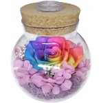 Preserved Real Roses with Colorful Mood Light Wishing Bottle,Eternal Rose，Never Withered Flowers,for Bedroom Party Table Decor, Christmas Decorations,a Gifts for Women (Rainbow)