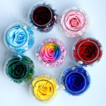 Preserved Real Roses with Colorful Mood Light Wishing Bottle,Eternal Rose，Never Withered Flowers,for Bedroom Party Table Decor, Christmas Decorations,a Gifts for Women (Rainbow)
