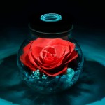 Preserved Real Roses with Colorful Mood Light Wishing Bottle,Eternal Rose，Never Withered Flowers,for Bedroom Party Table Decor, Christmas Decorations,a Gifts for Women (Ash red)