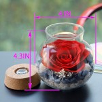 Preserved Real Roses with Colorful Mood Light Wishing Bottle,Eternal Rose，Never Withered Flowers,for Bedroom Party Table Decor, Christmas Decorations,a Gifts for Women (Ash red)