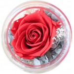 Preserved Real Roses with Colorful Mood Light Wishing Bottle,Eternal Rose，Never Withered Flowers,for Bedroom Party Table Decor, Christmas Decorations,a Gifts for Women (Ash red)