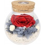 Preserved Real Roses with Colorful Mood Light Wishing Bottle,Eternal Rose，Never Withered Flowers,for Bedroom Party Table Decor, Christmas Decorations,a Gifts for Women (Ash red)