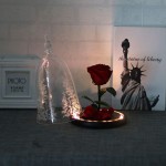 Handmade Rose in Glass Dome, DDSKY Beauty and The Beast Enchanted Preserved Rose with LED Light in Glass Dome on Wood Base, 100% Real Rose for Christmas Valentine's Day, Red