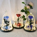 Handmade Rose in Glass Dome, DDSKY Beauty and The Beast Enchanted Preserved Rose with LED Light in Glass Dome on Wood Base, 100% Real Rose for Christmas Valentine's Day, Red