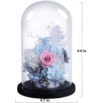 ANLUNOB Preserved Fresh Flower Eternity Rose, Never Withered Real Rose, Gift for Valentine's Day, Mother's Day, Thanksgiving Day, Christmas, Birthday Blue