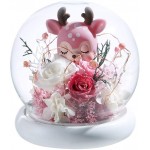 ANLUNOB Forever Rose Handmade Glass Roses The Unicorn and The Deer in A Glass Dome -Mothers Day Birthday Gifts for Children Girls Women Weddings, Anniversaries, Christmas Decoration