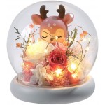 ANLUNOB Forever Rose Handmade Glass Roses The Unicorn and The Deer in A Glass Dome -Mothers Day Birthday Gifts for Children Girls Women Weddings, Anniversaries, Christmas Decoration