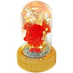 Mother's Day Red Rose Night Light - SWEETIME Real Eternal Rose in Glass Dome, Preserved Rose Flower Lamp with Bluetooth Speaker,Forever Flowers Gift for Mom, Wife, Girlfriend on Mother's Day