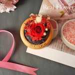 Mother's Day Red Rose Night Light - SWEETIME Real Eternal Rose in Glass Dome, Preserved Rose Flower Lamp with Bluetooth Speaker,Forever Flowers Gift for Mom, Wife, Girlfriend on Mother's Day