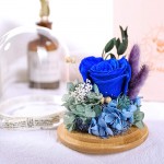 KING DOO Preserved Rose Gift for Mom Grandma Wife. Forever Eternal Blue Real Rose Present for Birthday Wedding Teachers Day Graduation