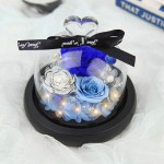 Forever Flowers Real Eternal Roses - Kylin Glory Preserved Flowers Gift with LED Mood Lights for Valentine&#39;s Day Birthday Anniversary, Elegant Present for Girlfriend Wife Mom Women