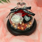 Kylin Glory Forever Flowers Real Eternal Roses Preserved Flowers Gift with LED Mood Lights for Valentine's Day Birthday Anniversary, Elegant Present for Girlfriend Wife Mom Women (Fire Red)