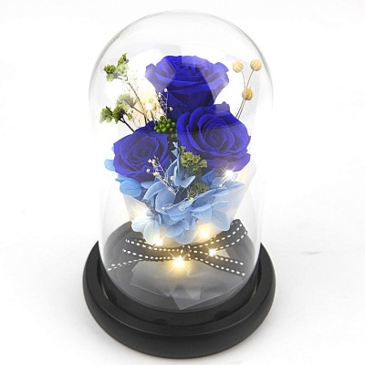 Kylin Glory Forever Flowers Real Eternal Roses Preserved Flowers Gift with LED Mood Lights for Valentine's Day Birthday Anniversary, Elegant Present for Girlfriend Wife Mom Women