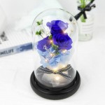 Kylin Glory Forever Flowers Real Eternal Roses Preserved Flowers Gift with LED Mood Lights for Valentine's Day Birthday Anniversary, Elegant Present for Girlfriend Wife Mom Women