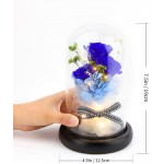 Kylin Glory Forever Flowers Real Eternal Roses Preserved Flowers Gift with LED Mood Lights for Valentine's Day Birthday Anniversary, Elegant Present for Girlfriend Wife Mom Women