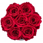 Soho Floral Arts | Real Roses That Last a Year and More | Fresh Flowers | Eternal Roses in a Box (Red: 7 X-Large Roses)