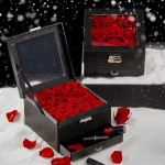 Preserved Roses Real Rose in a Box Never Withered Roses That Last 365 Days Gift for Her (16 Red Roses)