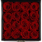 Preserved Roses Real Rose in a Box Never Withered Roses That Last 365 Days Gift for Her (16 Red Roses)