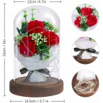 Beauty and The Beast Rose,shirylzee Enchanted Flower with LED Light Red Roses mom Gifts Home Decor Mother's Day,Birthday,Valentine's Day, Best Surprise Gifts for Mom Girlfriend Wife Women