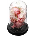 ANLUNOB Preserved Fresh Flower with LED Light - Handmade Rose Mother Day - Forever Rose Gift in Glass Dome - Valentine`s Day