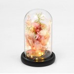 ANLUNOB Preserved Fresh Flower with LED Light - Handmade Rose Mother Day - Forever Rose Gift in Glass Dome - Valentine`s Day