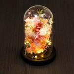 ANLUNOB Preserved Fresh Flower with LED Light - Handmade Rose Mother Day - Forever Rose Gift in Glass Dome - Valentine`s Day