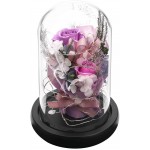 ANLUNOB Preserved Fresh Flower with LED Light - Handmade Rose Mother Day - Forever Rose Gift in Glass Dome - Valentine`s Day