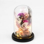 ANLUNOB Preserved Fresh Flower with LED Light - Handmade Rose Mother Day - Forever Rose Gift in Glass Dome - Valentine`s Day