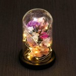 ANLUNOB Preserved Fresh Flower with LED Light - Handmade Rose Mother Day - Forever Rose Gift in Glass Dome - Valentine`s Day