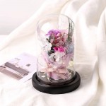 ANLUNOB Preserved Fresh Flower with LED Light - Handmade Rose Mother Day - Forever Rose Gift in Glass Dome - Valentine`s Day