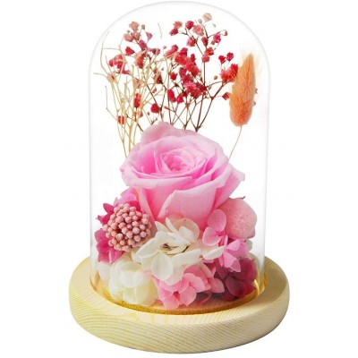 FLOVE Forever Rose in Glass Dome with Preserved Real Pink Flowers, Handmade for Women Girls, Eternal Flowers Decor for Mother's Day, Birthday, Anniversary and Wedding