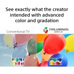 Sony X900H 65-inch TV: 4K Ultra HD Smart LED TV with HDR, Game Mode for Gaming, and Alexa Compatibility - 2020 Model