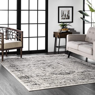 nuLOOM Shaunte Vintage Speckled Area Rug, 5&#39; Square, Silver