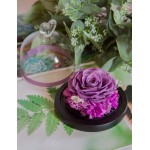 Forever Roses Preserved Real Flowers Eternal Enchanted Rose Flower Box Gift for Valentines Birthday Anniversary Mother's Day Christmas(Lavender)