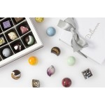 Dallmann Confections Chocolate Survival Kit, San Diego-Made Fine European Chocolates, Choco and Chill (25 Chocolates)